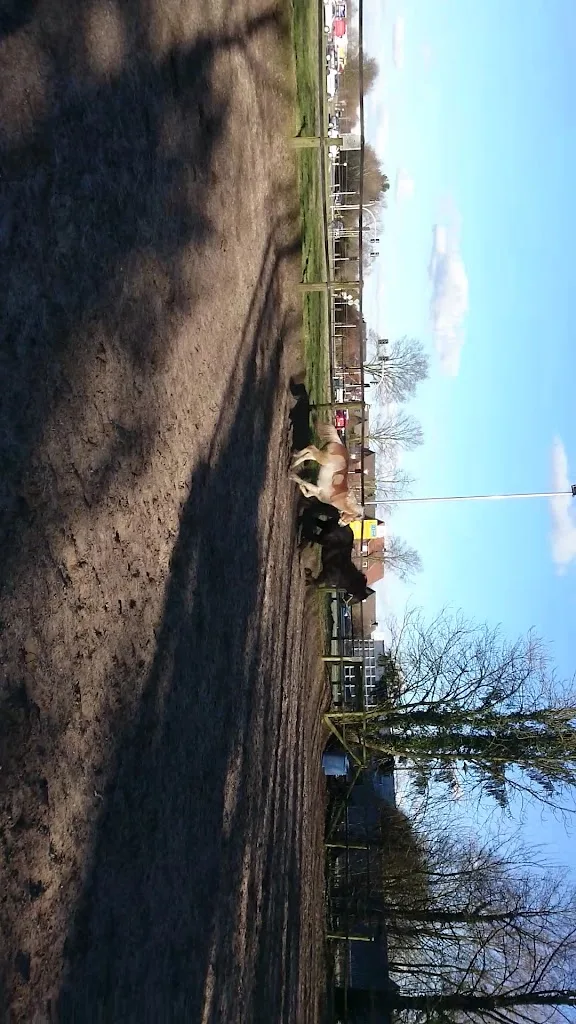 Red Blaze Ranch / Reiterhof - photo 1