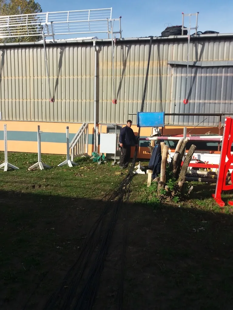 Pferdesportzentrum Pausin | Schönwalde-Glien - Foto 3