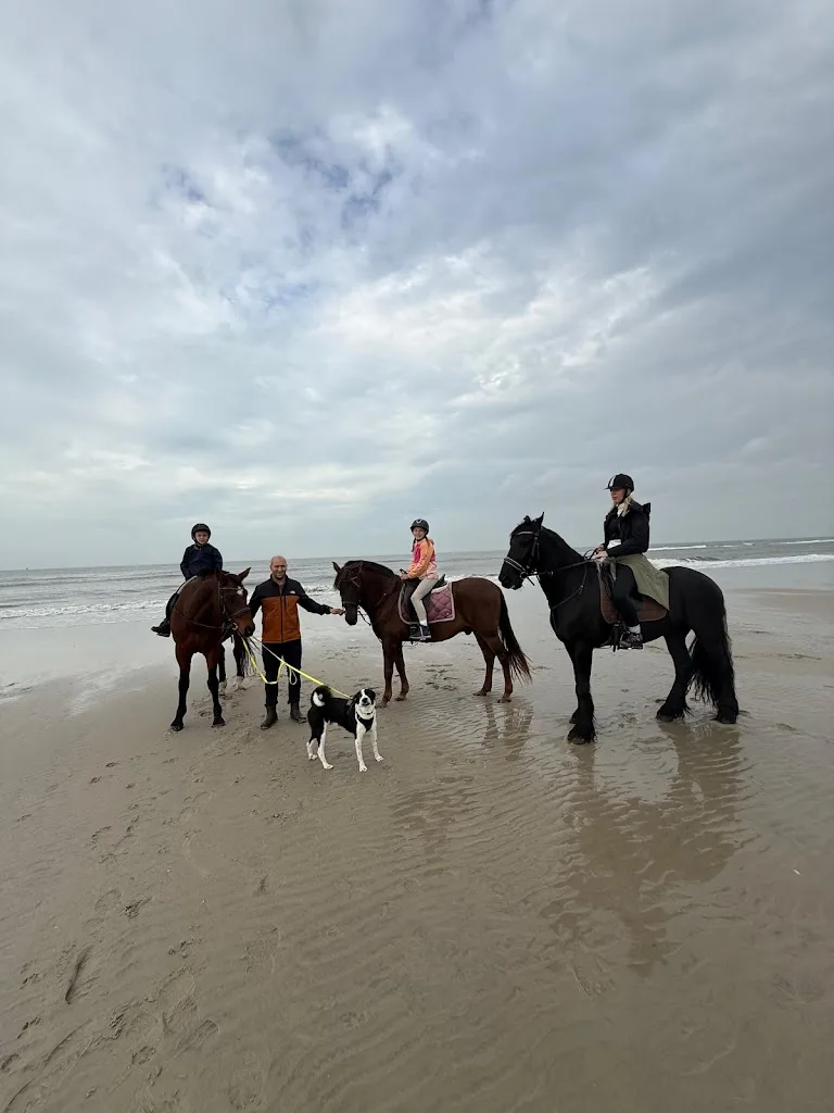 Reitstall Süderhof Langeoog - Foto 1