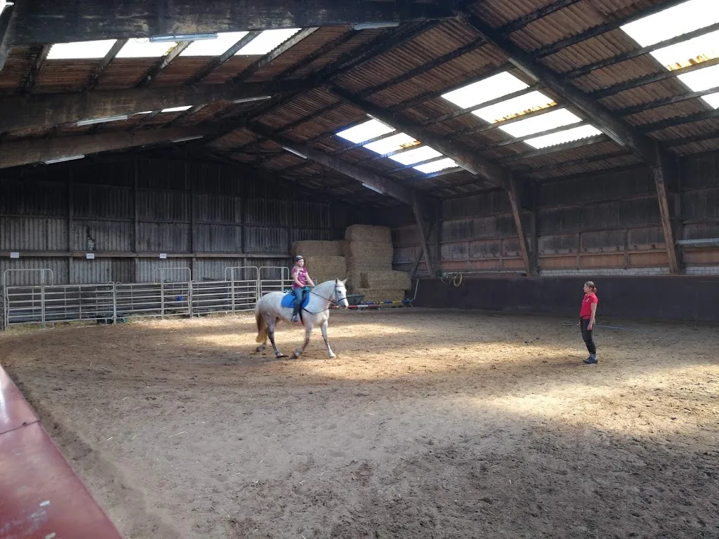Reitstall Süderhof Langeoog - Foto 2