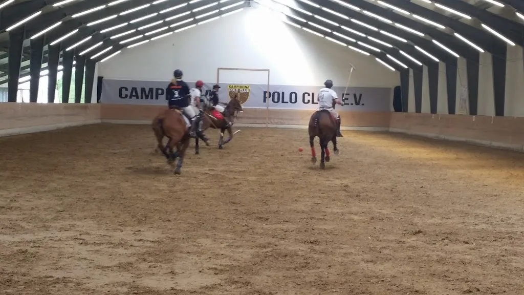 Reitsportanlage Salgen e.V. - Foto 3