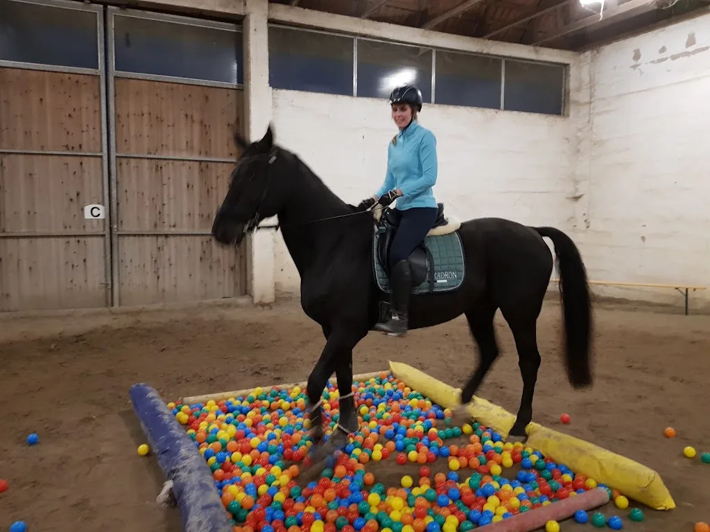 ELDIRA Ranch - Foto 1