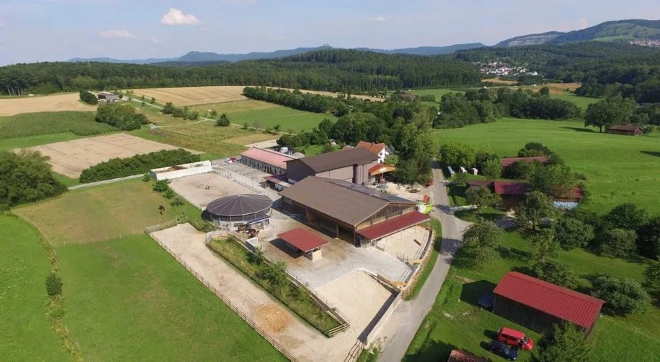 Friedemann Meizler - photo 1