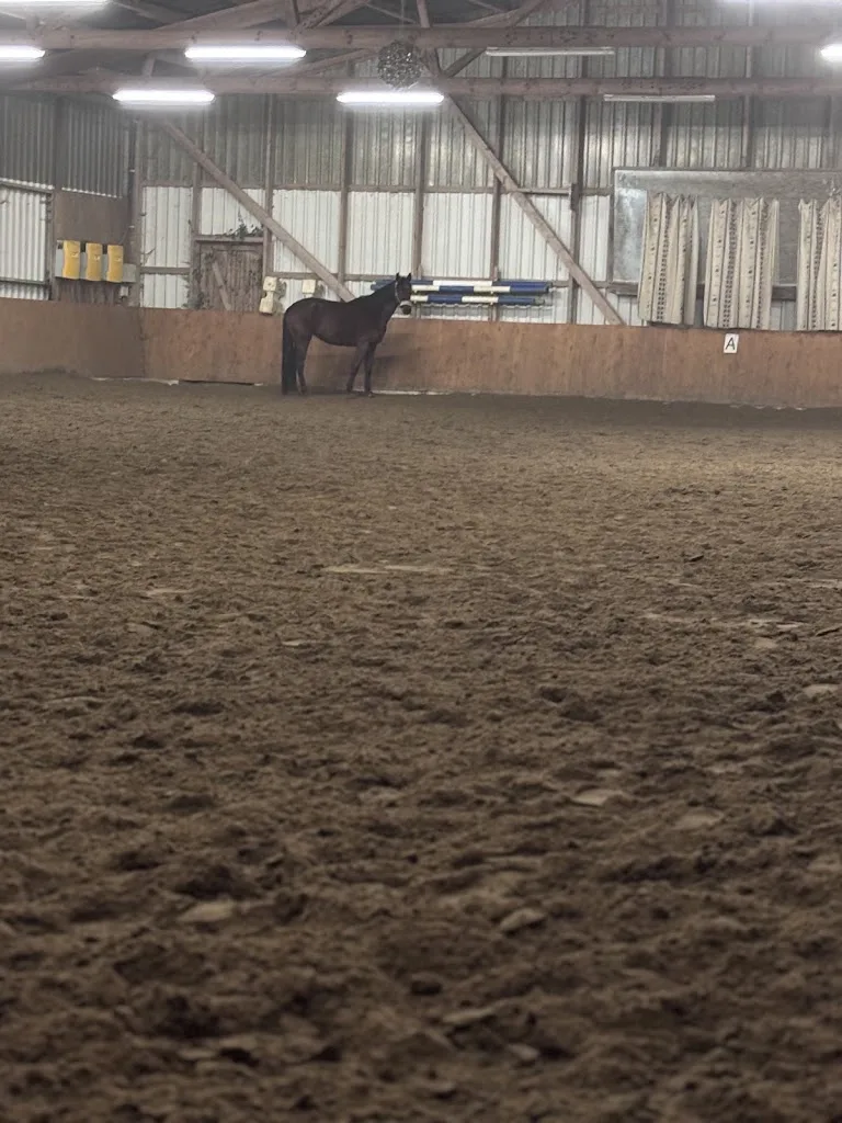 Reitanlage Vortanz - photo 1