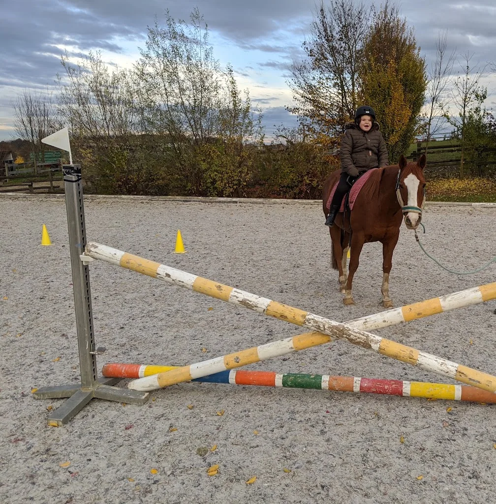 Keltika - Reiten auf den Spuren der Kelten - Ganzheitliches Reiten - Foto 2