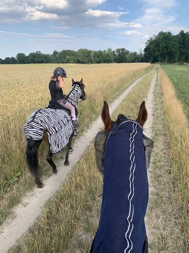 Dörte Hagemann gesund reiten UG (haftungsbeschränkt) - photo 3