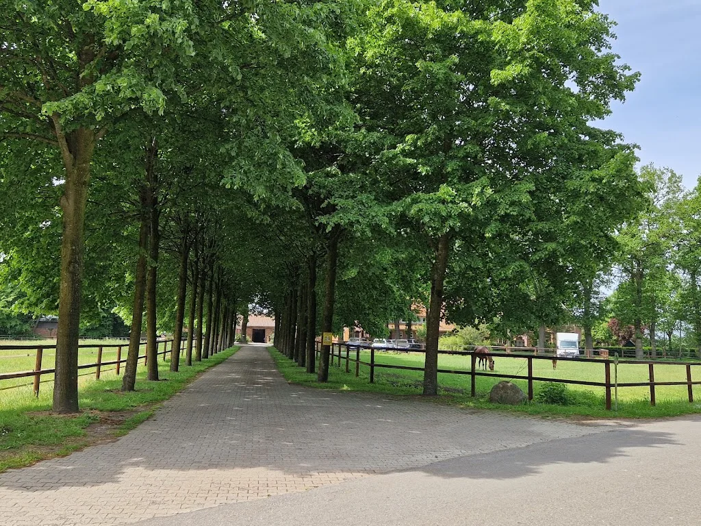 Pferdepension Brundiers-Nordmann - Foto 1