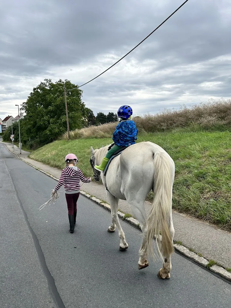 Reitanlage Possendorf - Foto 2