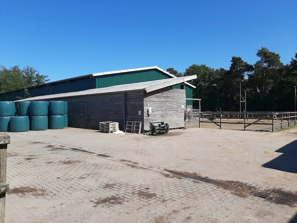 Gestüt vom Geestrand - Foto 1