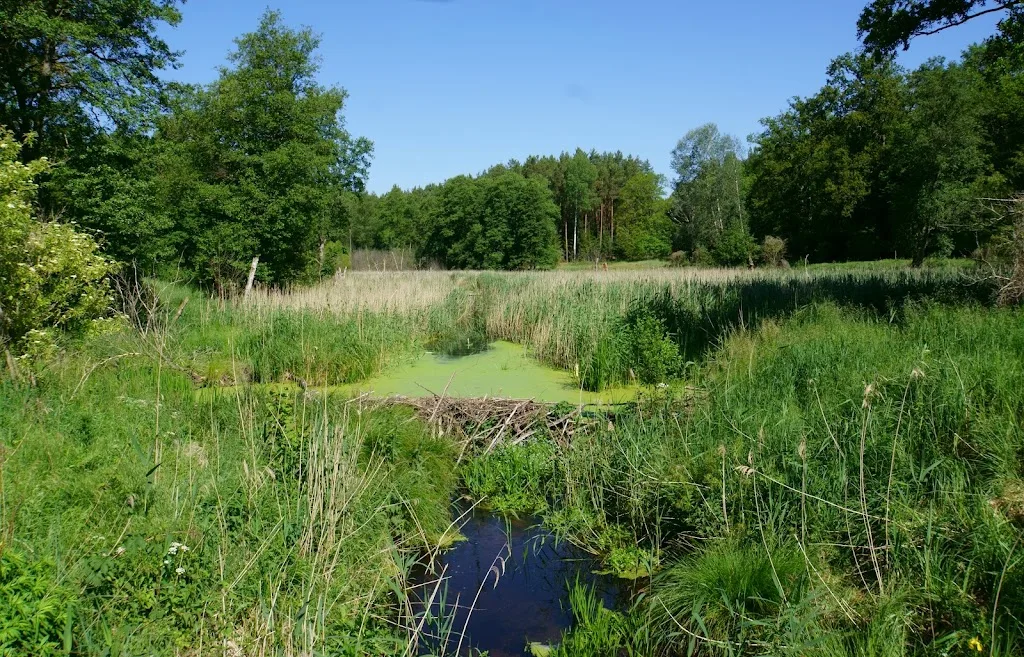 Malwiederlandsehen - photo 3