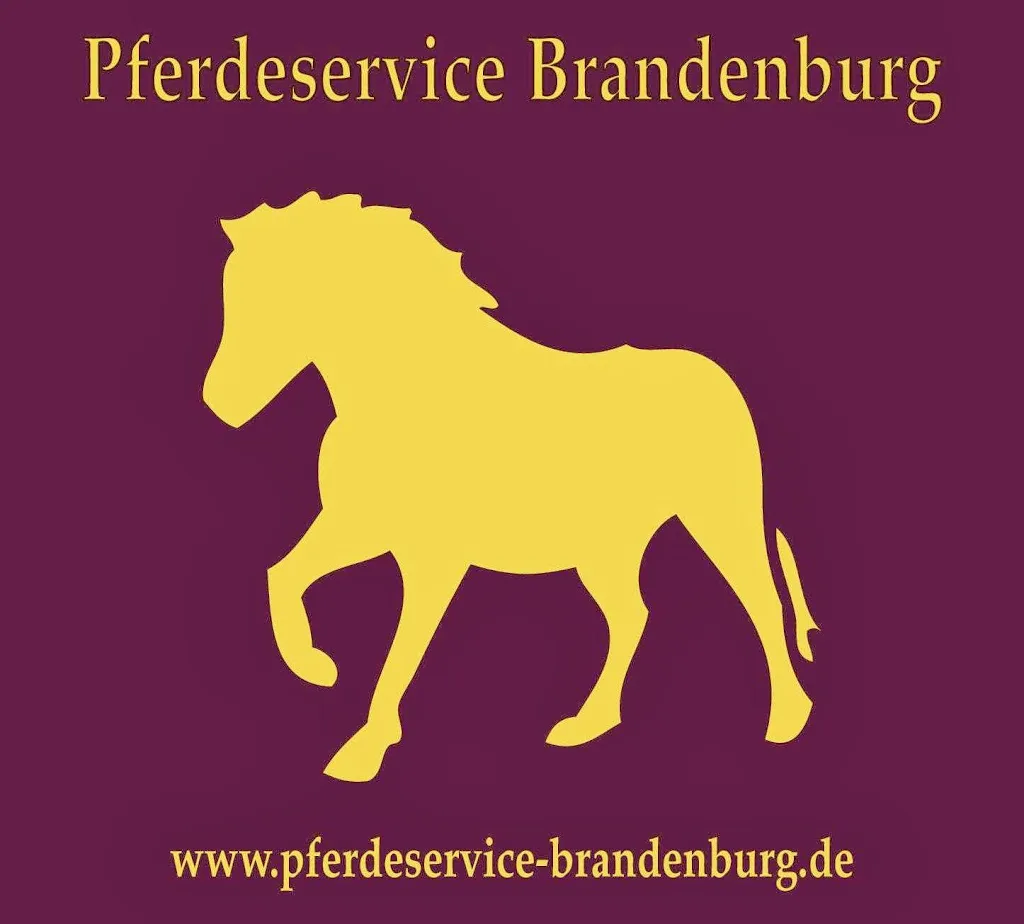 Pferderservice Brandenburg - Foto 3