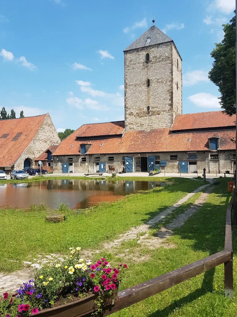 Dammackerhof - Foto 2