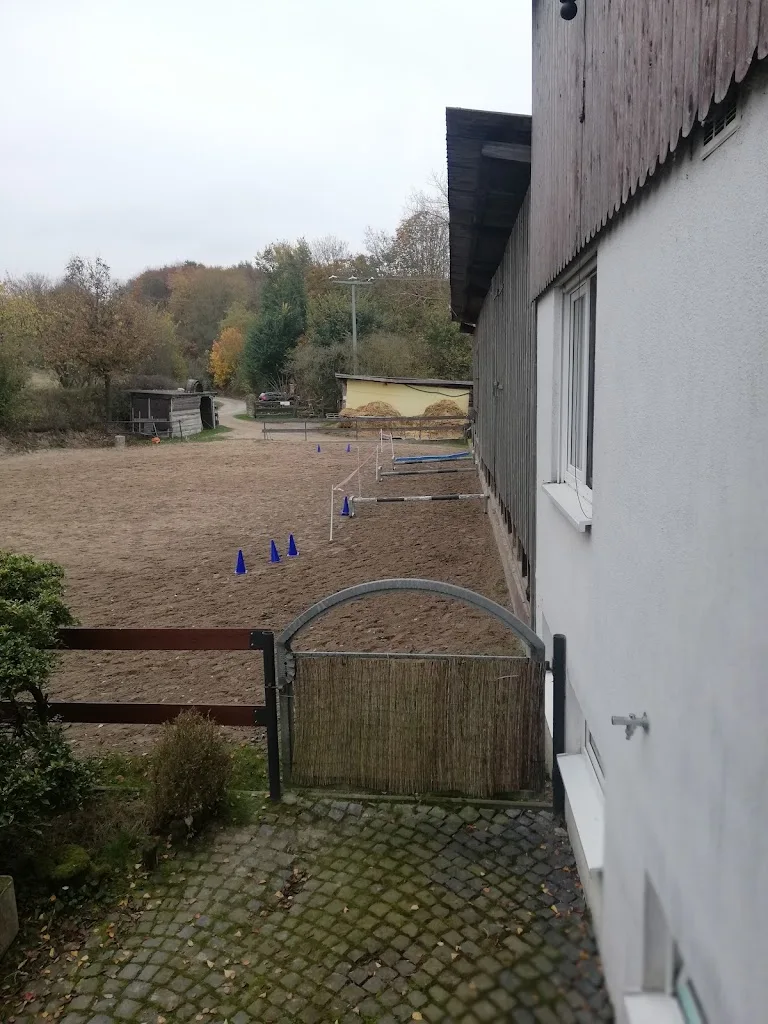 Pferdepension Berghof - photo 2