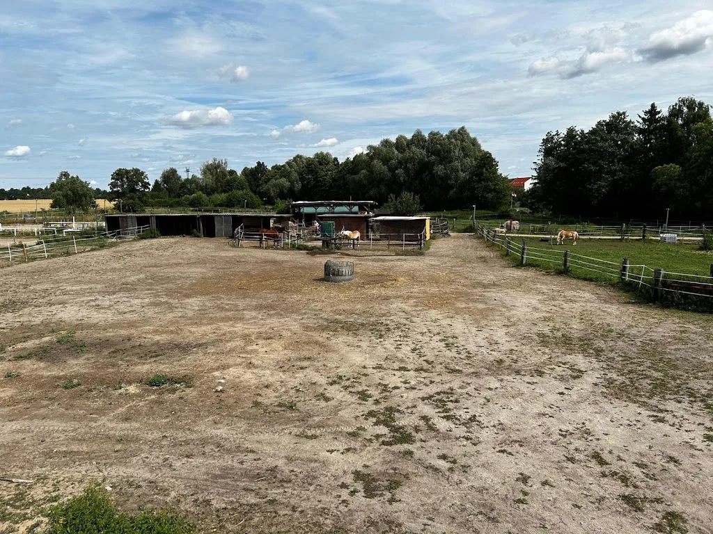 Reitschule LaLeLu - Foto 3