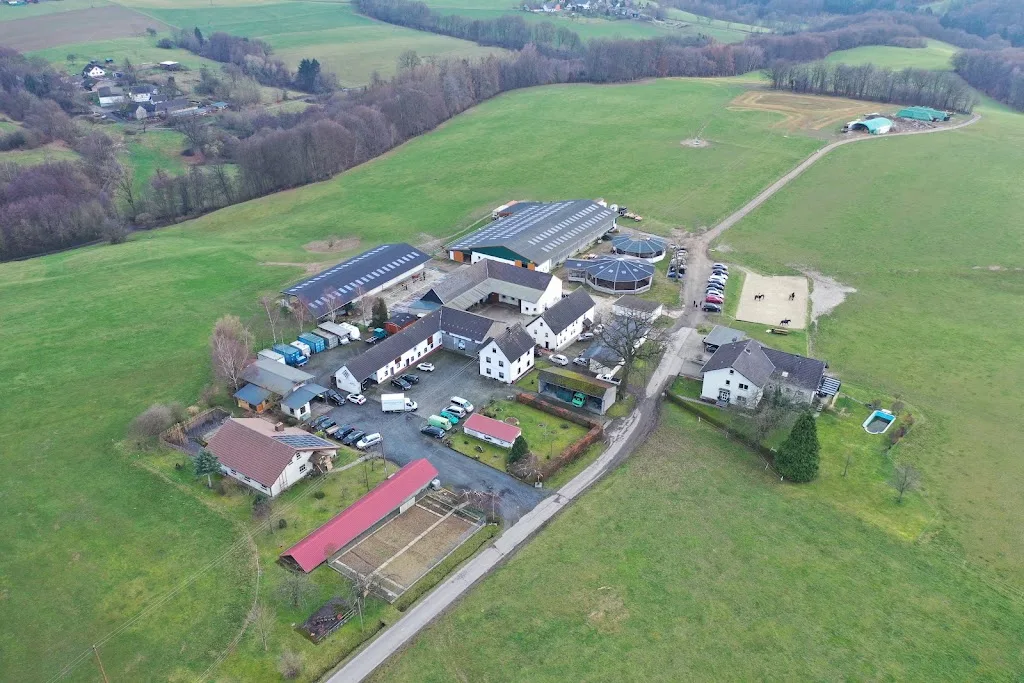 Pferdehof Mayer - Foto 2