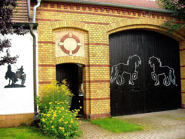 Reitsportverein Ruhlsdorf e.V. - photo 1