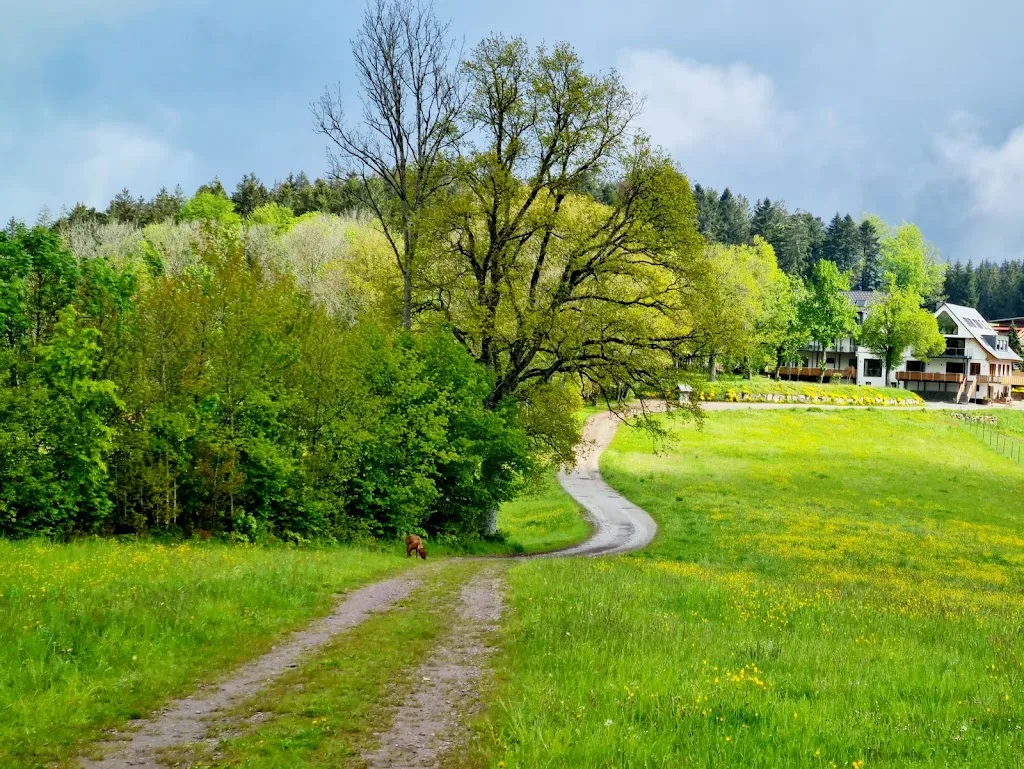 Nillhof - photo 3