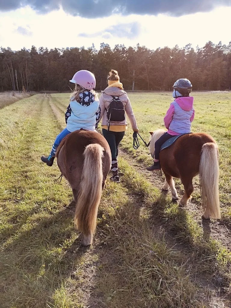 Laufstall Vehlefanz - photo 2