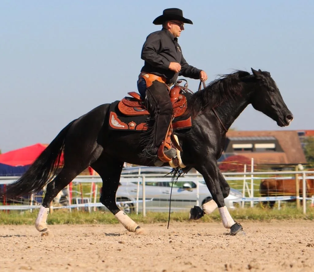 MoBo-Westerntraining - photo 1