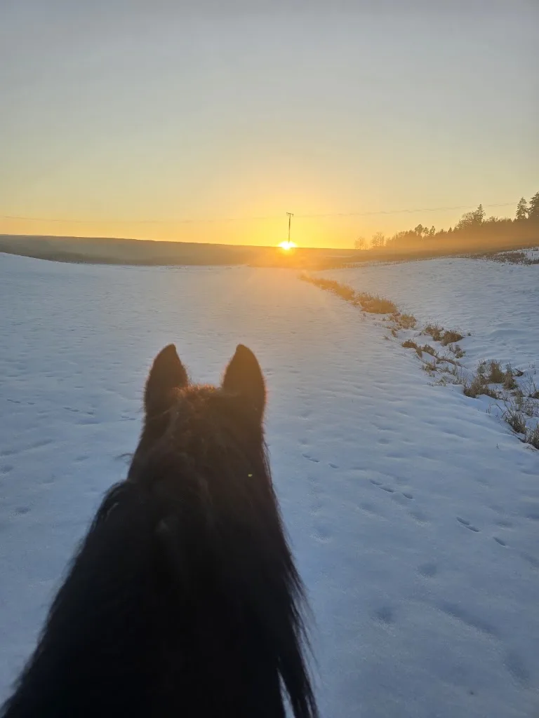 Top Q Ranch - Foto 1