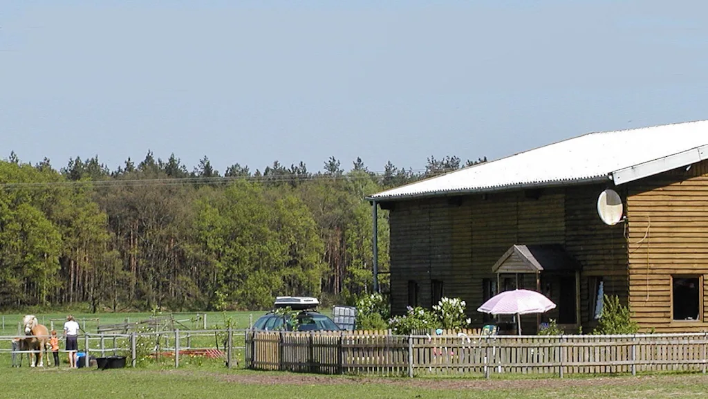 Haflinger Hof Alt Krenzlin - Foto 3