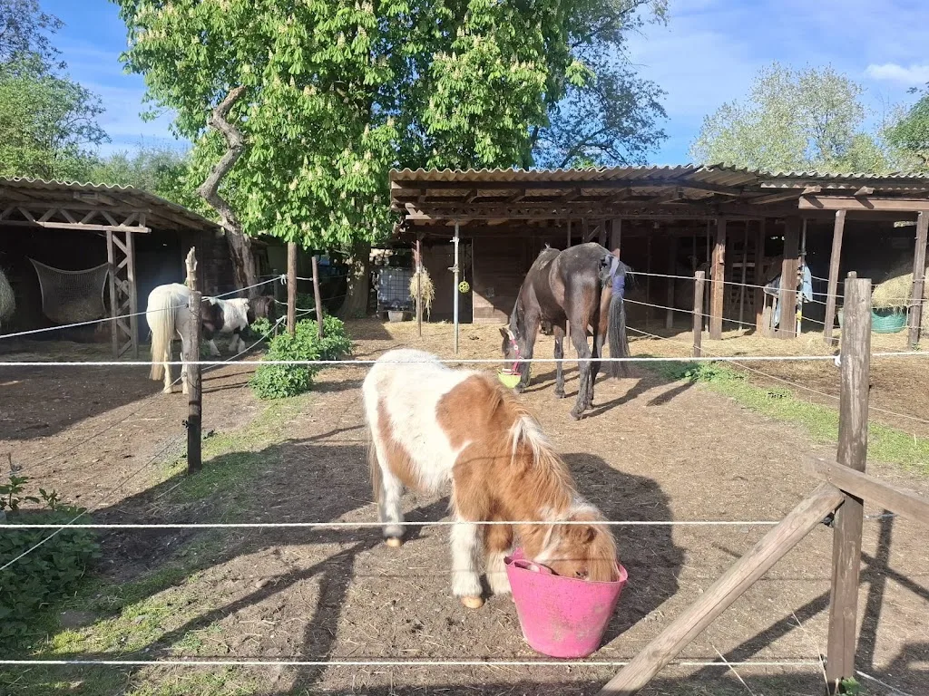Horseland - Foto 1