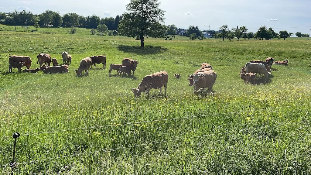 Pferd & Ich - Reitanlage am Gelbachtal - Foto 2