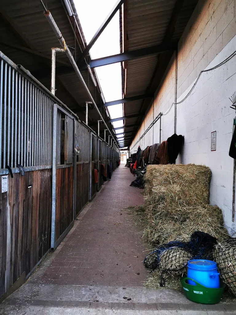 Reitclub Herrenkrug eV - Foto 1
