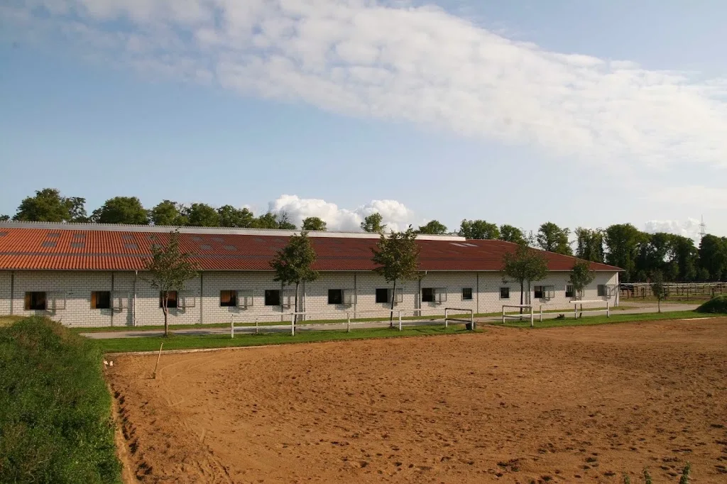 Reitclub Herrenkrug eV - Foto 2