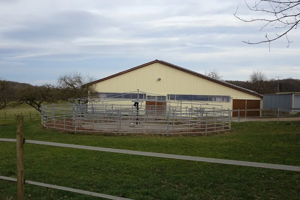 Reiterhof Ehnes - Foto 3