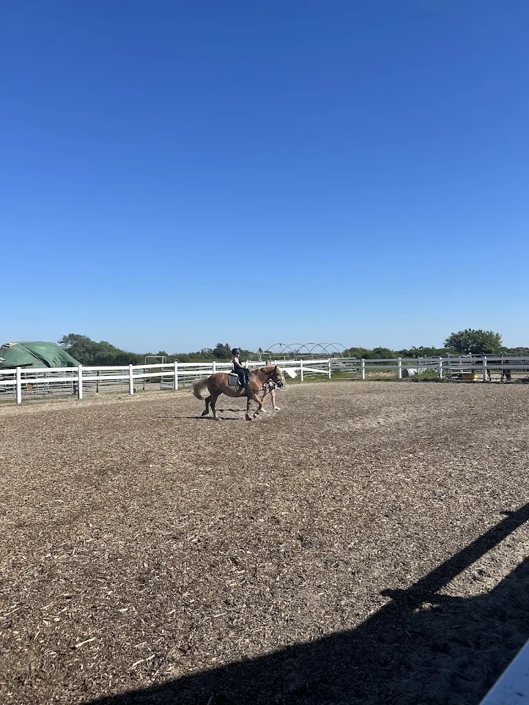 Reitanlage Carolinenhof Sylt - Foto 1