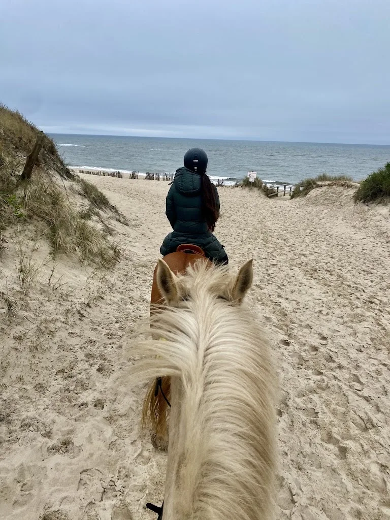 Reitanlage Carolinenhof Sylt - Foto 2