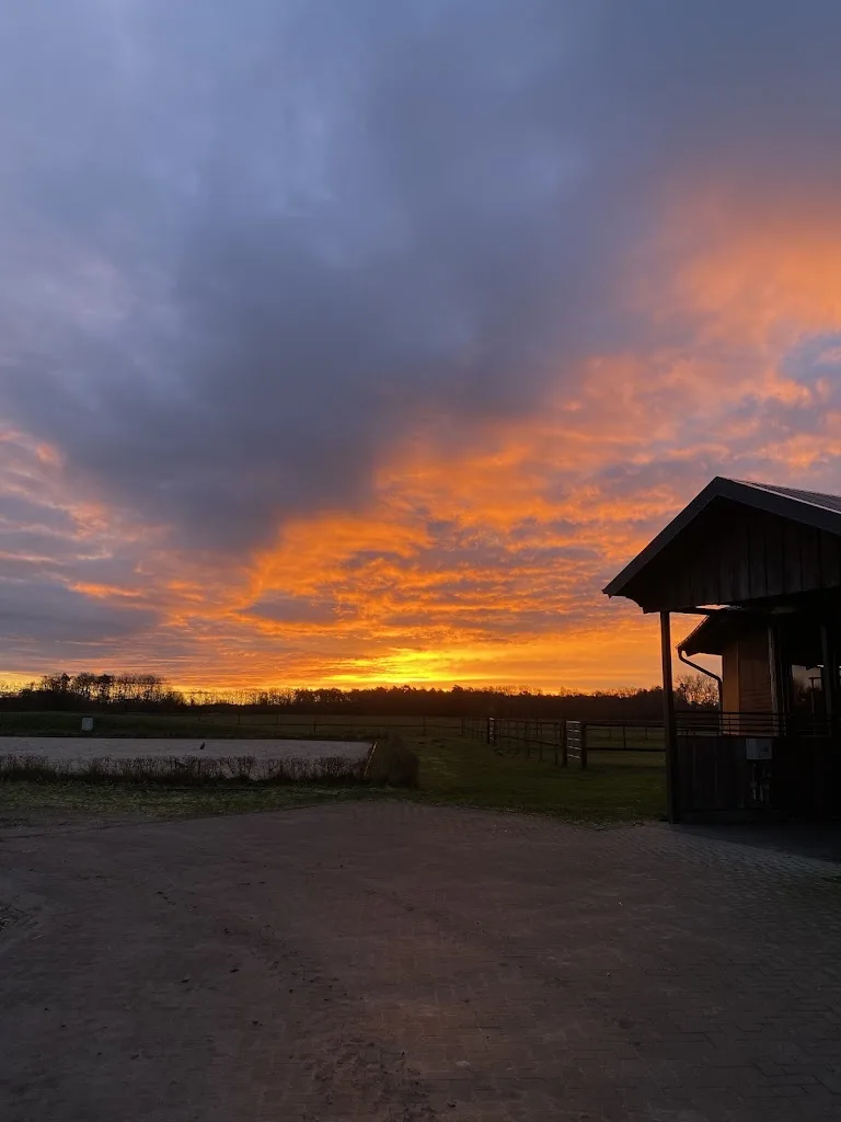 Westphalian Stables - Foto 1