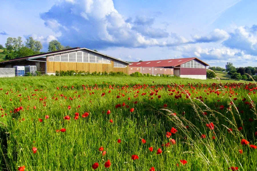 Reitanlage Brühler Sonnenhof - Foto 1