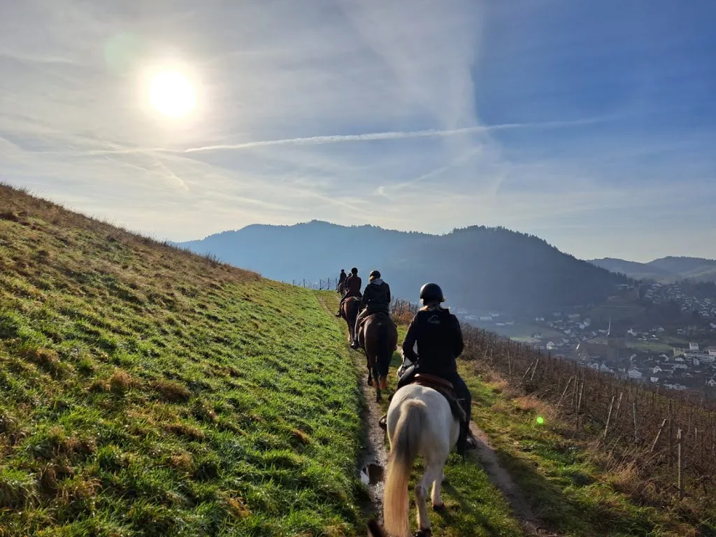 Simmehof - Wanderreitstation, Reitschule und Therapiereiten. Für Kinder, Jugendliche und Erwachsene. - Foto 1