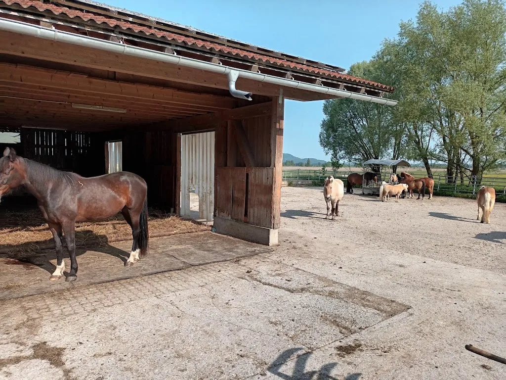 Pferdehof Giggerer - Foto 1