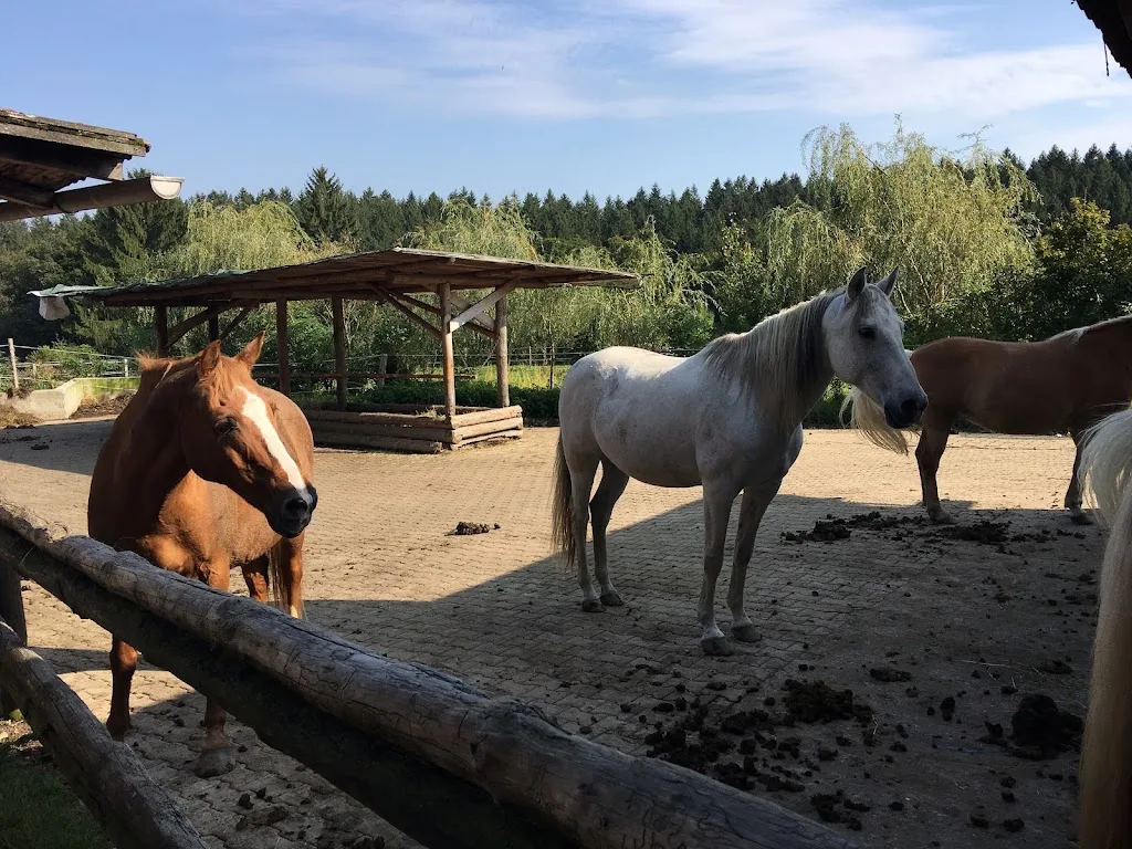 Penny Well Ranch - Foto 2