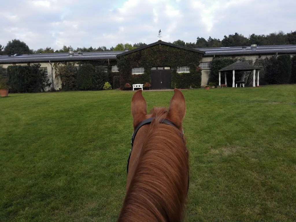 Equi Reha Overbeck - photo 2