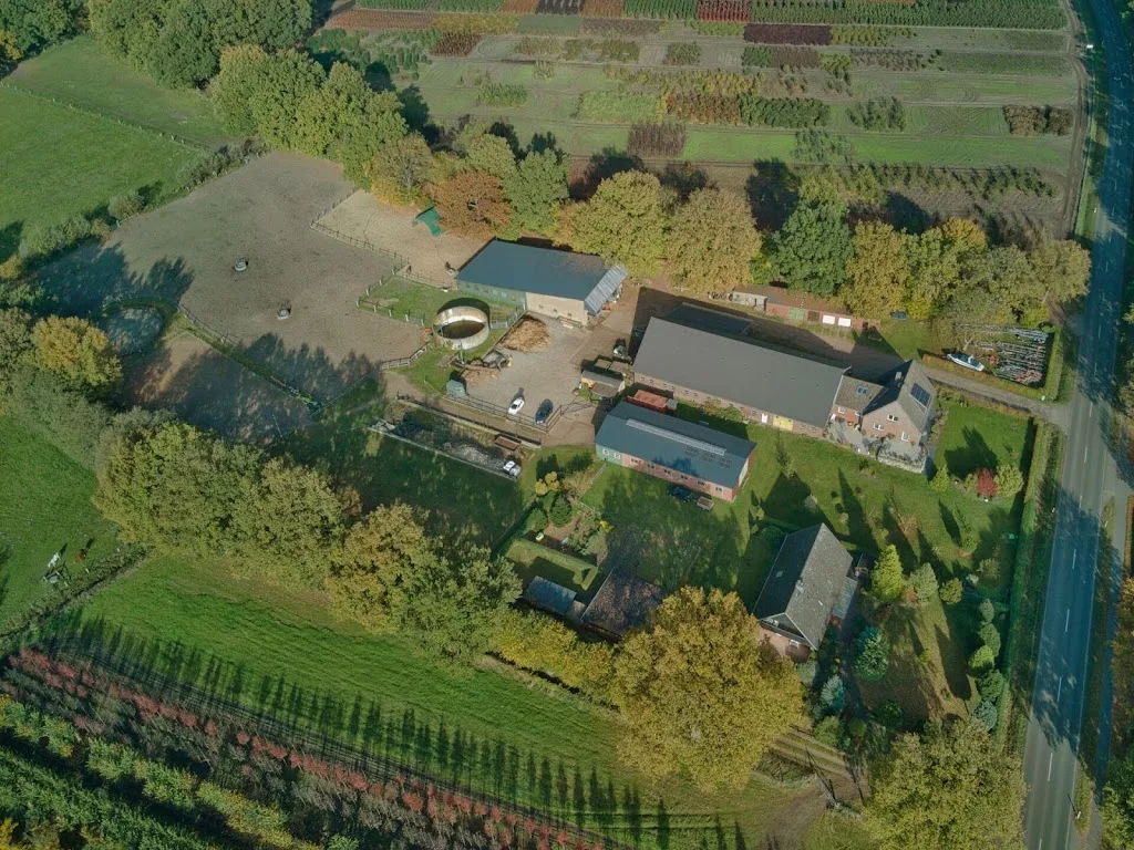 Deelenhof Holm - photo 2