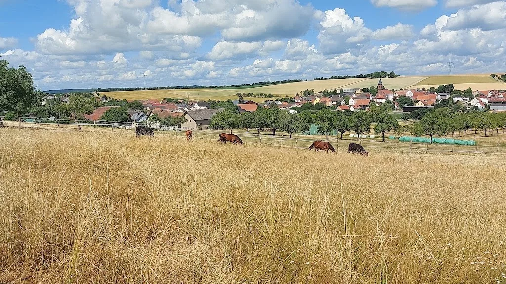 Reitanlage Rittershof - Foto 1