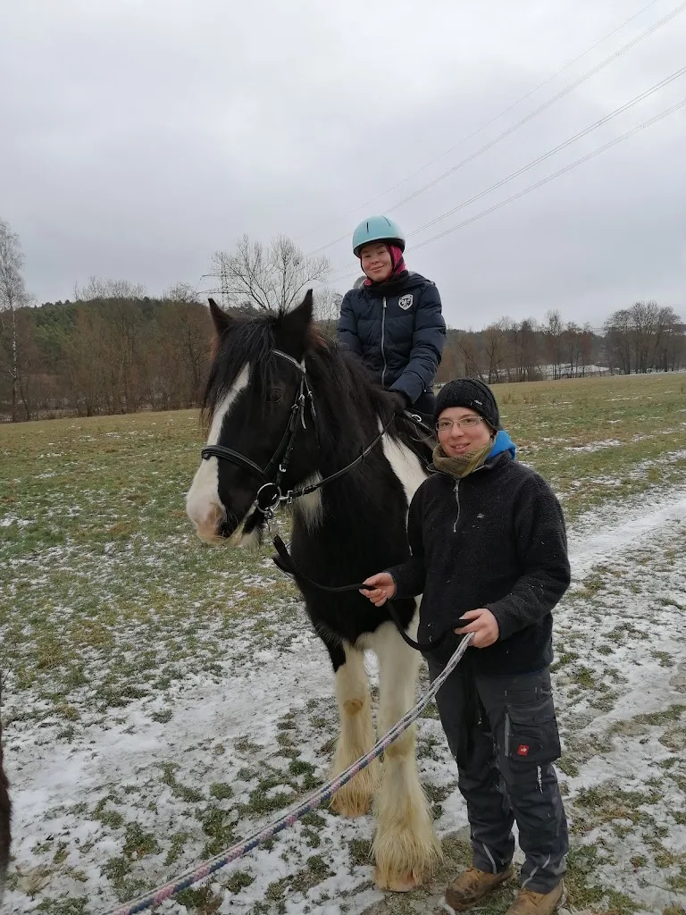 Reitanlage Rittershof - Foto 2