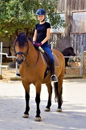 Reitanlage Rittershof - Foto 3