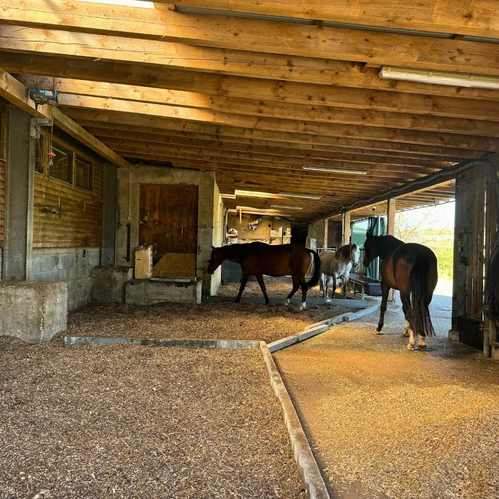 Kleewiesenhof - Foto 1