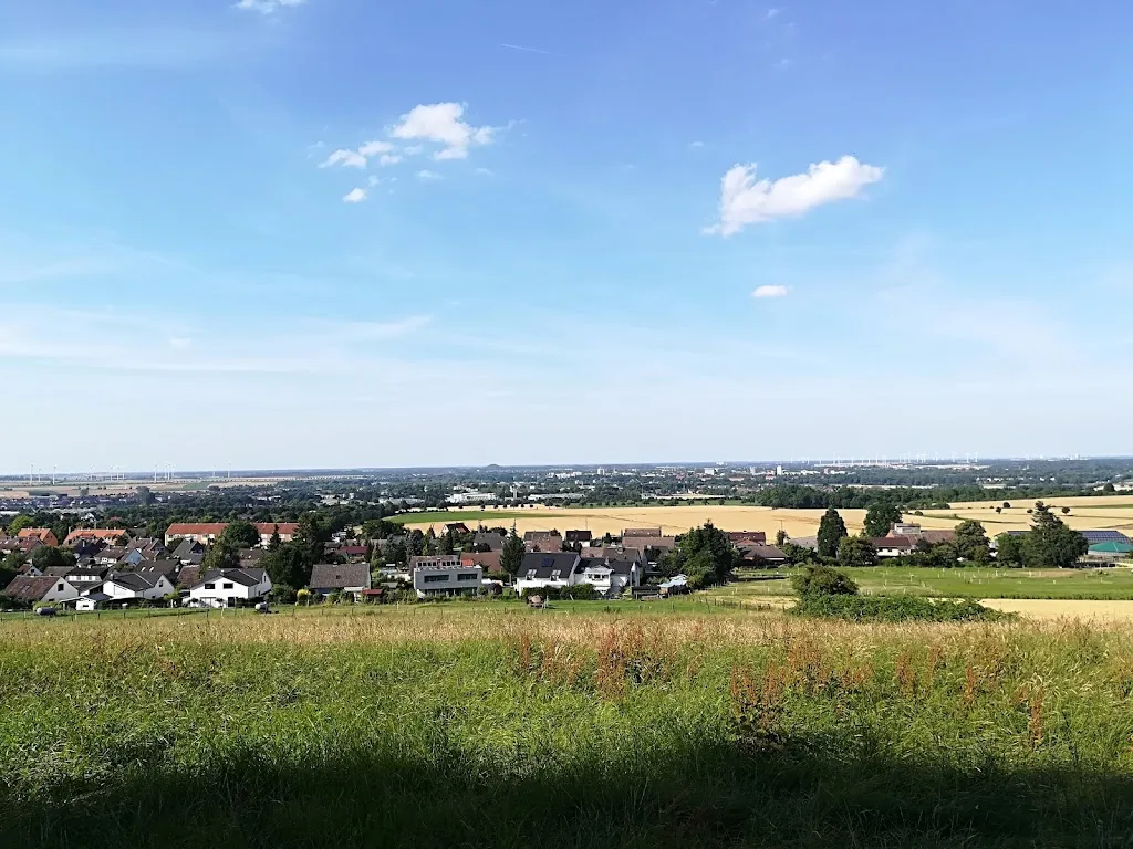 Reiterhof Gaus - Foto 3