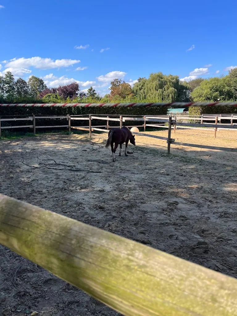 Stall Lödding - photo 1