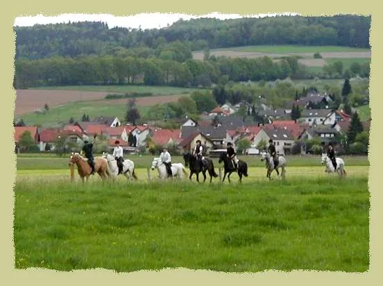 Connemarahof/Mühlenhof - photo 1
