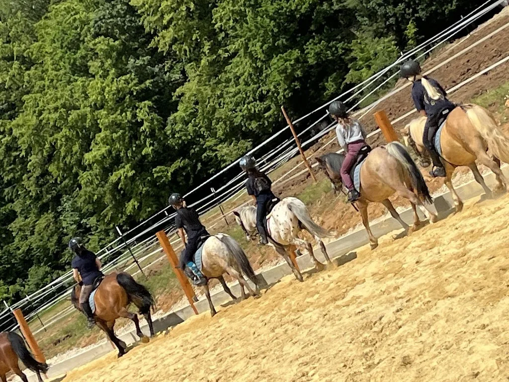 Reitverein Eigentshofen - photo 1