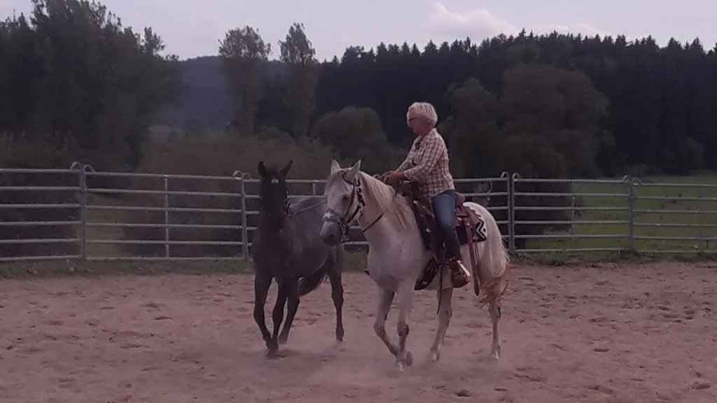 LQH Ludwig Quarter Horses, Sylvia Maile & Grischa Ludwig - photo 2