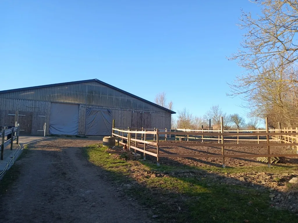 Pferdehof-Langbehn - Foto 1