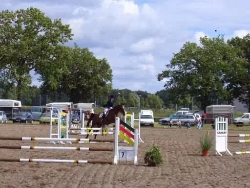Reitstall Krieschow "An der Feldmühle" - Foto 3